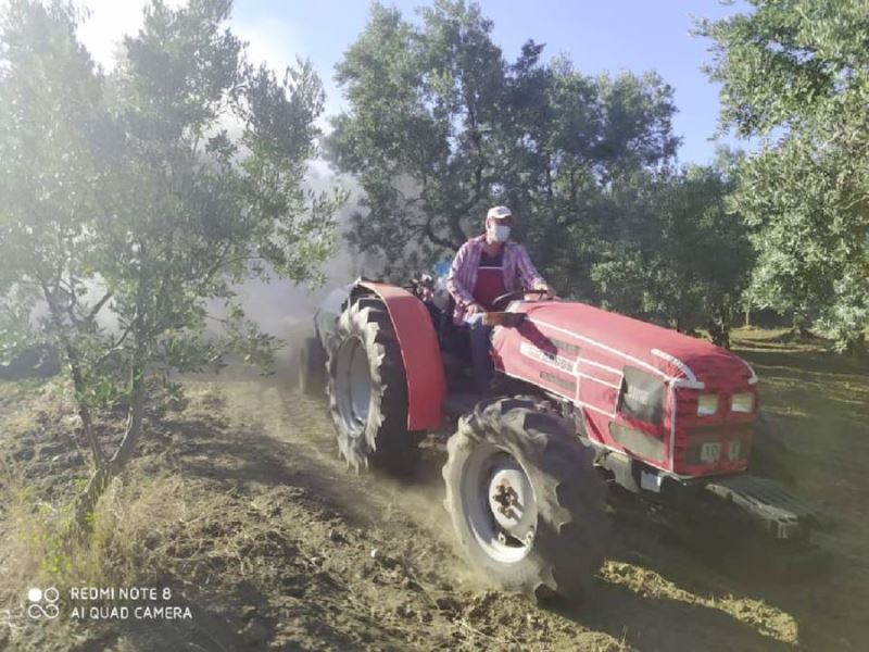 Erdekli zeytin üreticilerine hastalık uyarısı