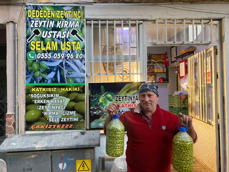 Mehmet Selam, zeytin üretimine devam!