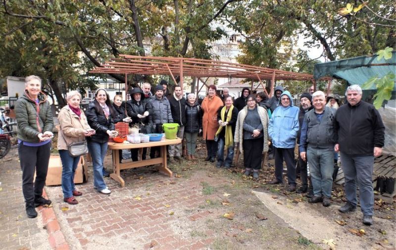 Meşe palamutları toprakla buluştu