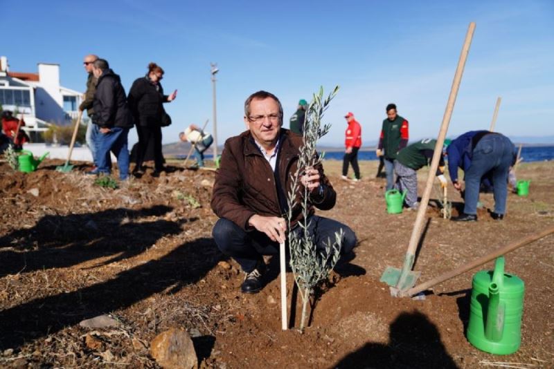 Başkan Ergin’den ‘Dünya Zeytin Ağacı Günü’ mesajı