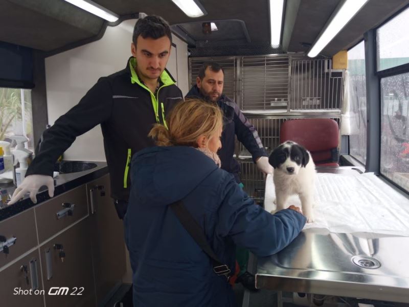 Mobil Veteriner Kliniği VETBÜS Aralık ayı programı belli oldu 