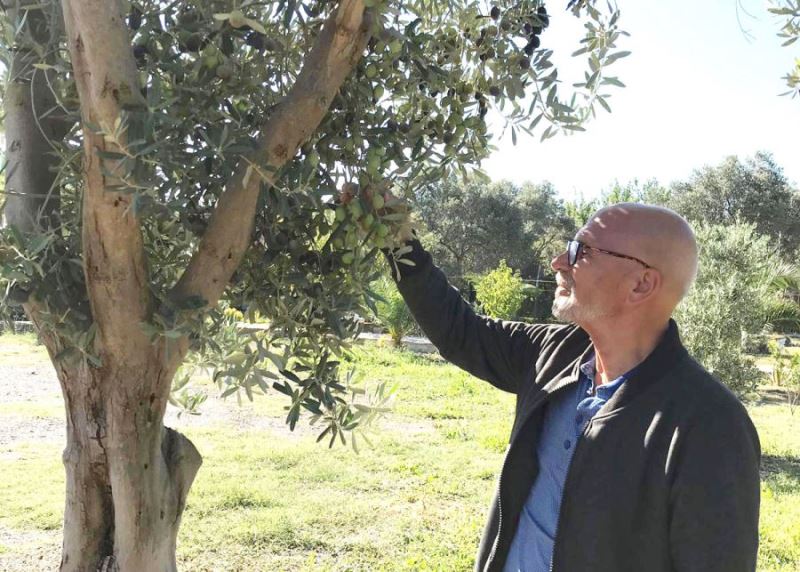 Erdek’te zeytin hırsızlığı vakaları düştü 