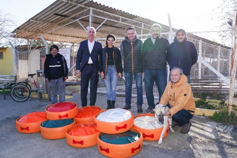 Eski lastikler can dostlara yatak oldu