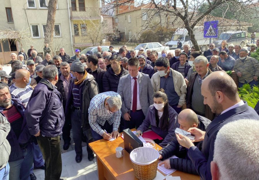 Hibe damızlık koçlar üreticilere kura ile dağıtıldı 