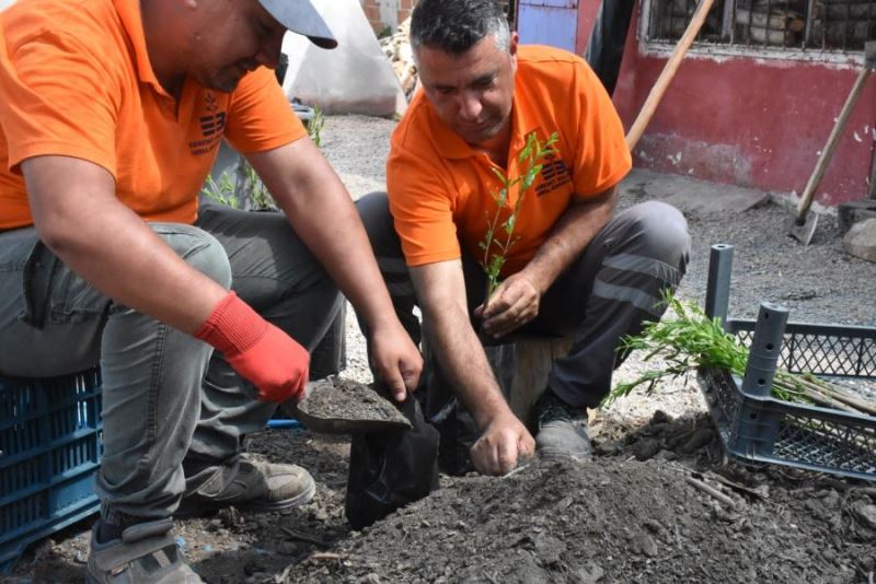 Edremit’te Ata Tohumları yeniden hayat buluyor 