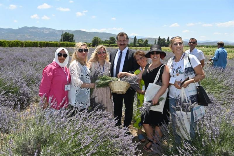 Kazdağları eteklerinde Aromaterapi Festivali 