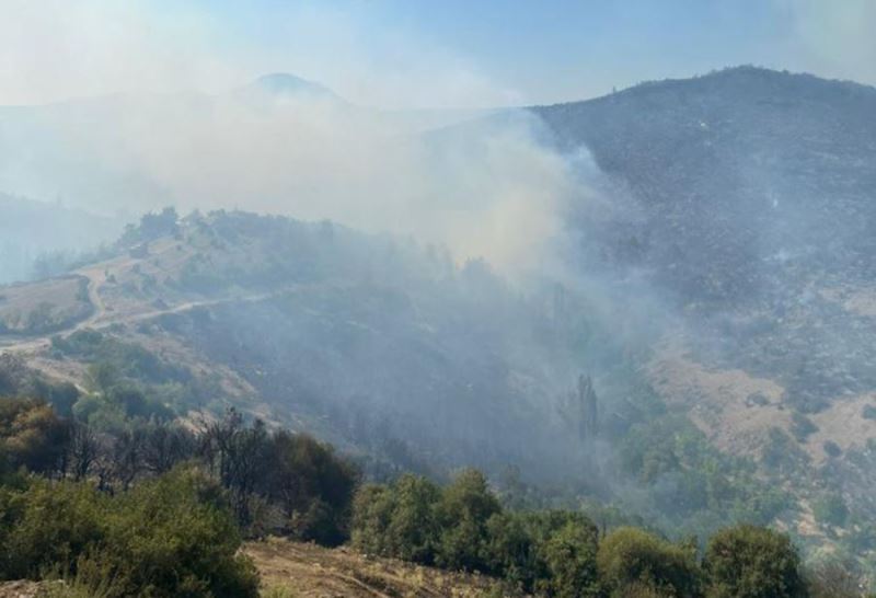 Kepsut İlçesi’nde orman yangın çıktı 