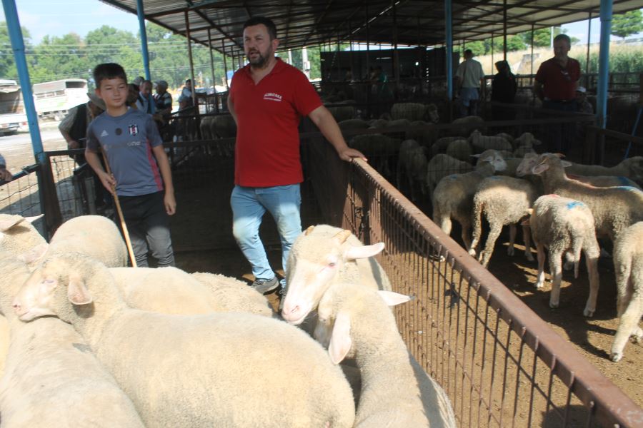 Kurban pazarında son yılların en durgun alışverişi yaşanıyor. 