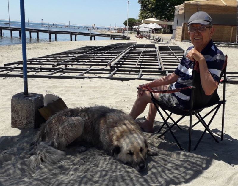 Efe köpek sıcaktan bunaldı