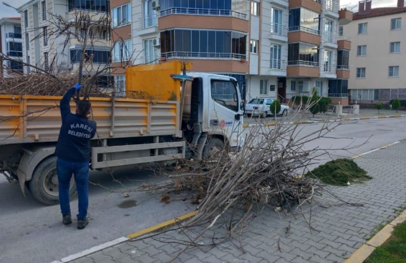 Karesi Belediyesi’nden ağaçlara kış bakımı 