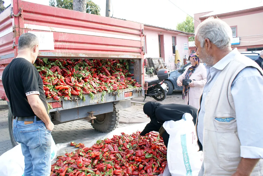 Ucuz Biber Kapış Kapış Gitti