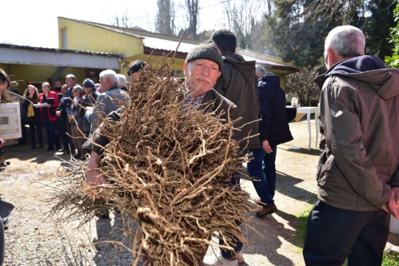 Büyükşehir’den çiftçiye hünnap  ve mürdüm eriği desteği