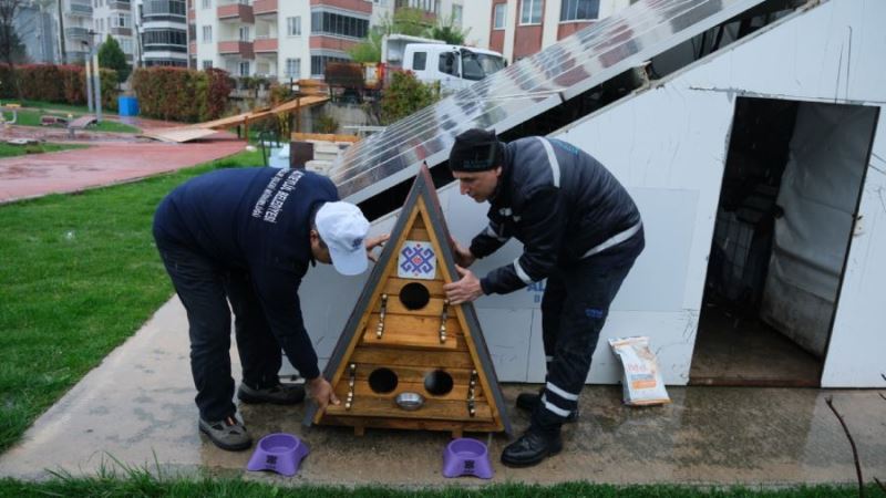 Altıeylül Belediyesi’nden sokak hayvanlarına anlamlı destek 