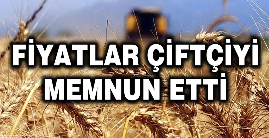 Buğday ve Arpa Alım  Fiyatları Açıklandı