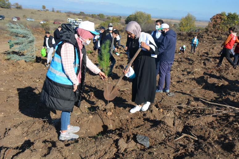 Fidanlar Toprakla Buluştu