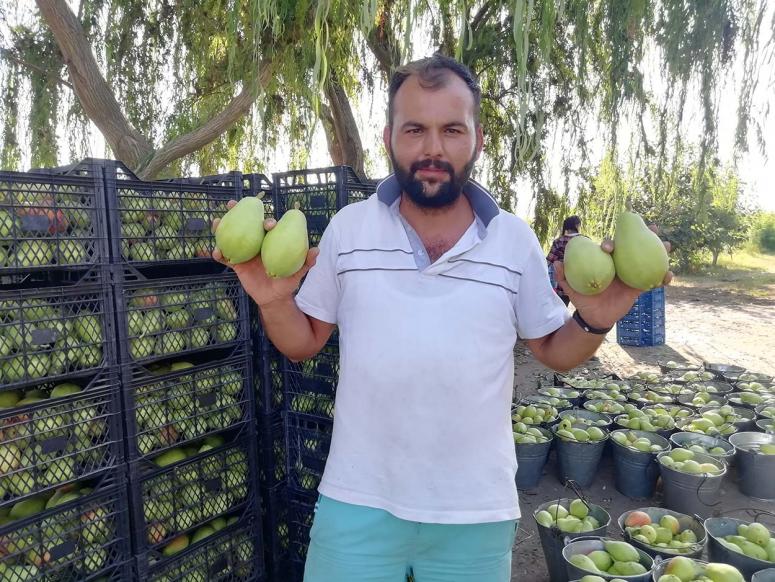 Baba ve oğlunun yetiştirdiği meyvelere yoğun talep 