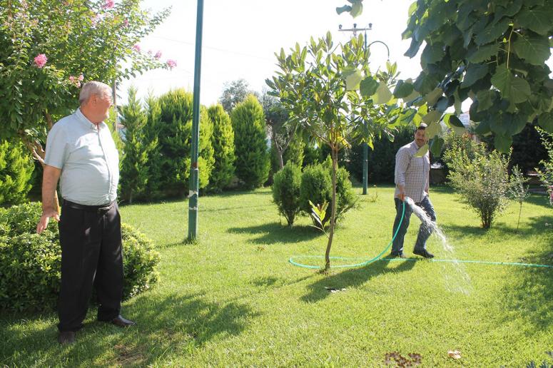 Çevreci İmam Camisini Botanik Bahçeye Çevirdi