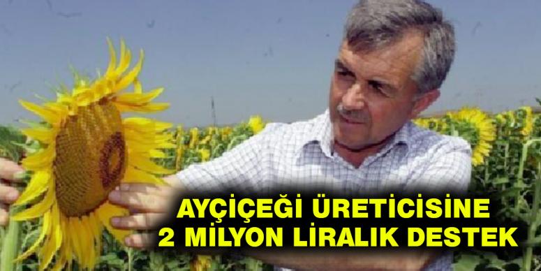 Ayçiçeği üreticisine 2 milyon liralık destek