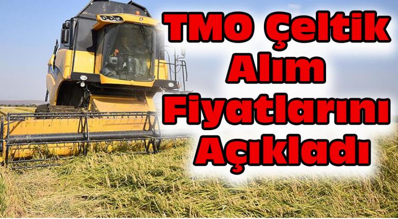 TMO, çeltik alım fiyatlarını açıkladı