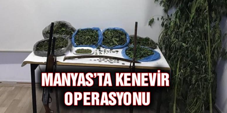 Manyas’ta Kenevir Operasyonu