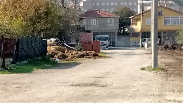 Vatandaşlardan çevre kirliliği isyanı 