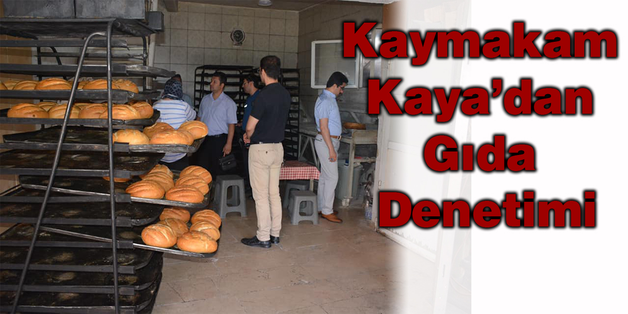 Kaymakam Kaya