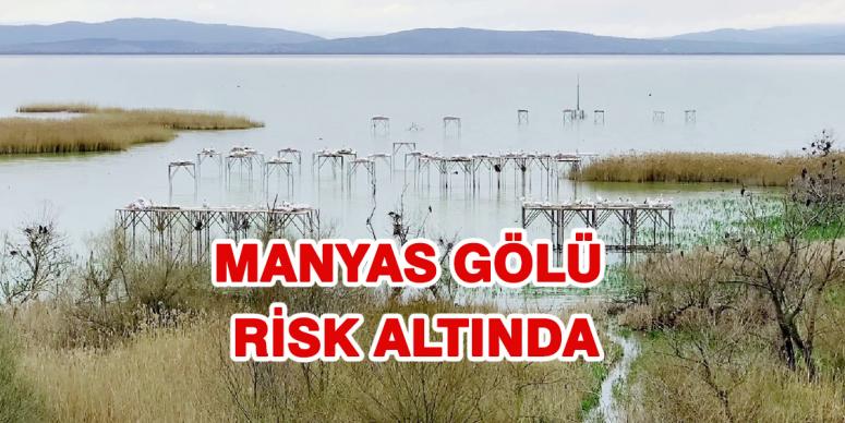 Manyas Gölü risk altında